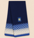 Navy Blue & Black Puttapaka Ikkat Cotton Saree with Checks, Lines & Blue Design Pallu