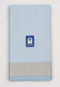 Ice Blue Banarasi Silk Saree with Silver Geometric Motifs & Gold Zari Pallu