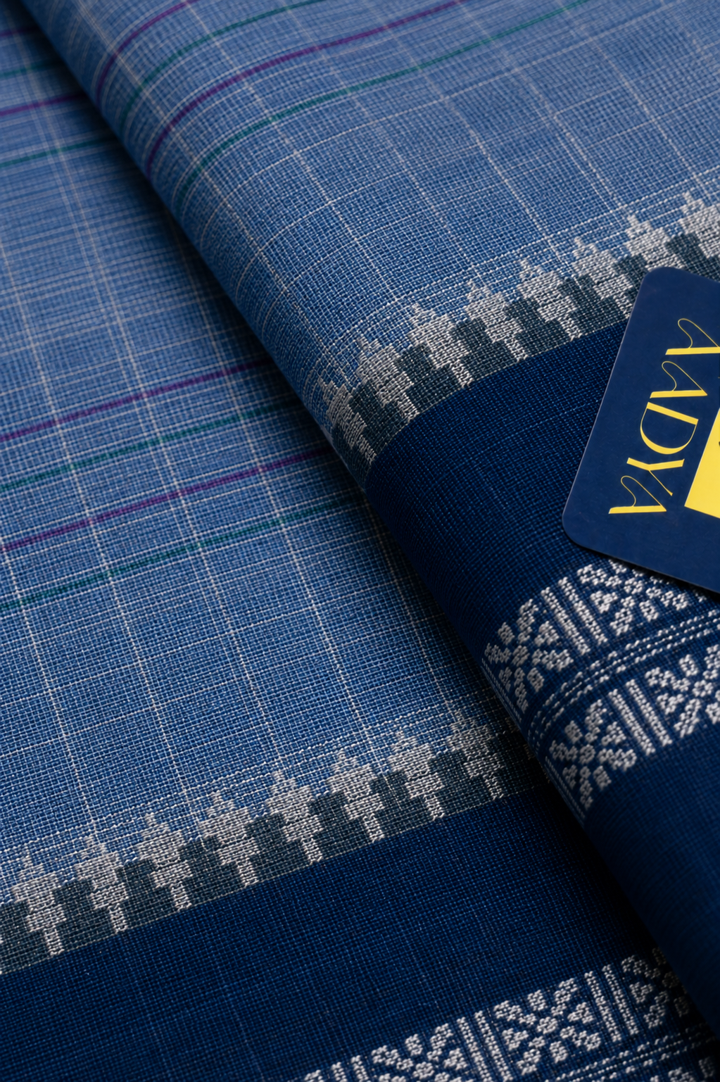 Powder Blue Narayanpet Cotton Saree with Navy Blue Geometric Border & Cream Pallu